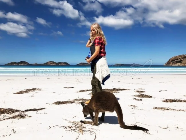 野生のカンガルーがいる世界一のビーチを目指して！西オーストラリア・ロングドライブ旅行記