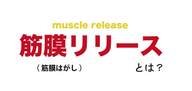 超強力！筋膜はがしにおすすめの筋膜リリースガンを発見！【NIPLUX】