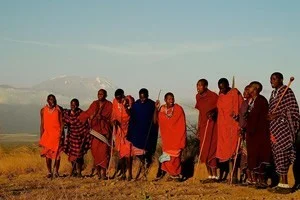 [北欧とアフリカを巡る年末年始の冒険旅行記：準備編2] アフリカのサファリを安くする方法