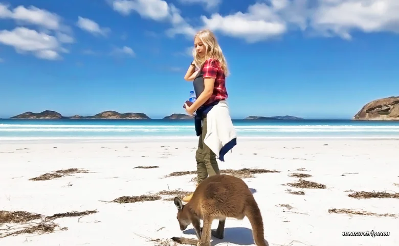 メジャートリップ お得な旅行情報