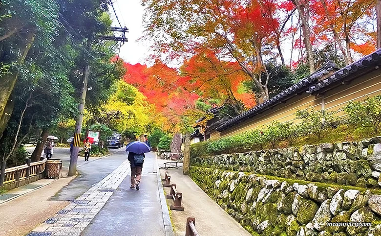 How to get to Kyoto's Gion-ji Temple, where moss and autumn leaves are beautiful [Maple Moss Temple]