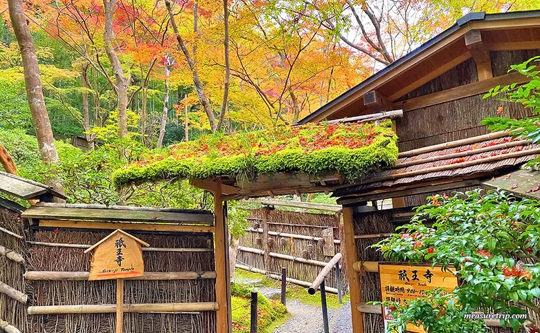 How to get to Kyoto's Gion-ji Temple, where moss and autumn leaves are beautiful [Maple Moss Temple]