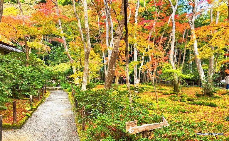 How to get to Kyoto's Gion-ji Temple, where moss and autumn leaves are beautiful [Maple Moss Temple]