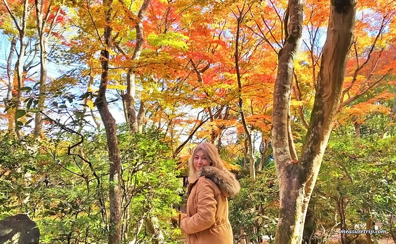 How to get to Kyoto's Gion-ji Temple, where moss and autumn leaves are beautiful [Maple Moss Temple]