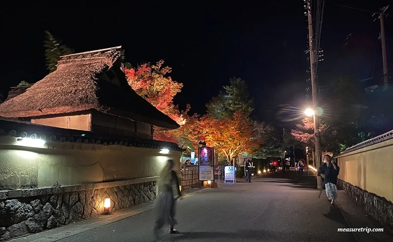 Hogon-in Temple Autumn Special Visit [Autumn Foliage Illumination] Guide [Kyoto Tourism]