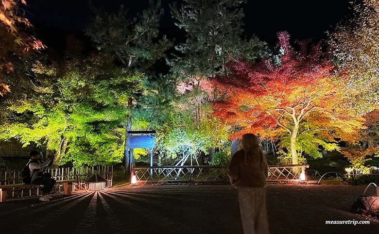 宝厳院 秋の特別拝観「紅葉 ライトアップ」ガイド[京都観光]