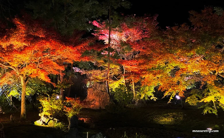 宝厳院 秋の特別拝観「紅葉 ライトアップ」ガイド[京都観光]