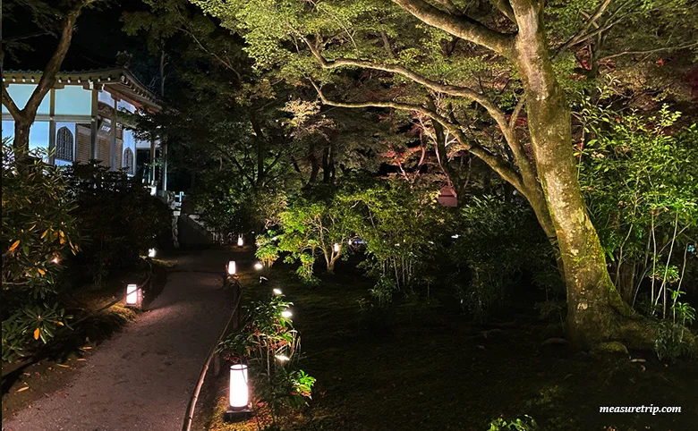 Hogon-in Temple Autumn Special Visit [Autumn Foliage Illumination] Guide [Kyoto Tourism]