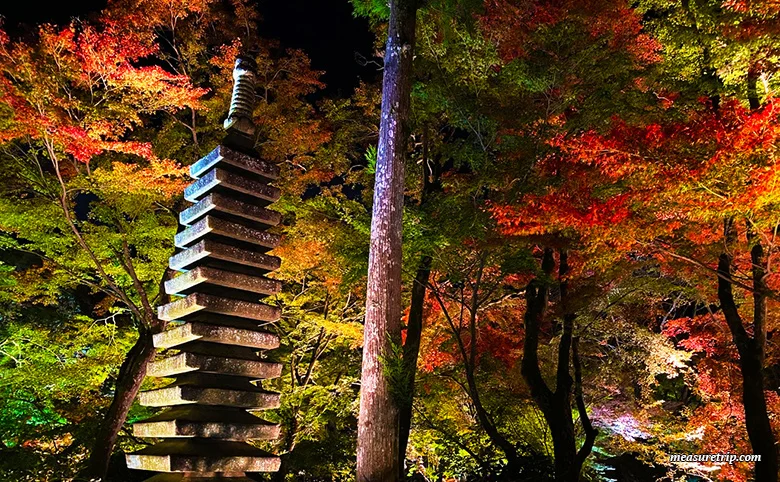 Hogon-in Temple Autumn Special Visit [Autumn Foliage Illumination] Guide [Kyoto Tourism]