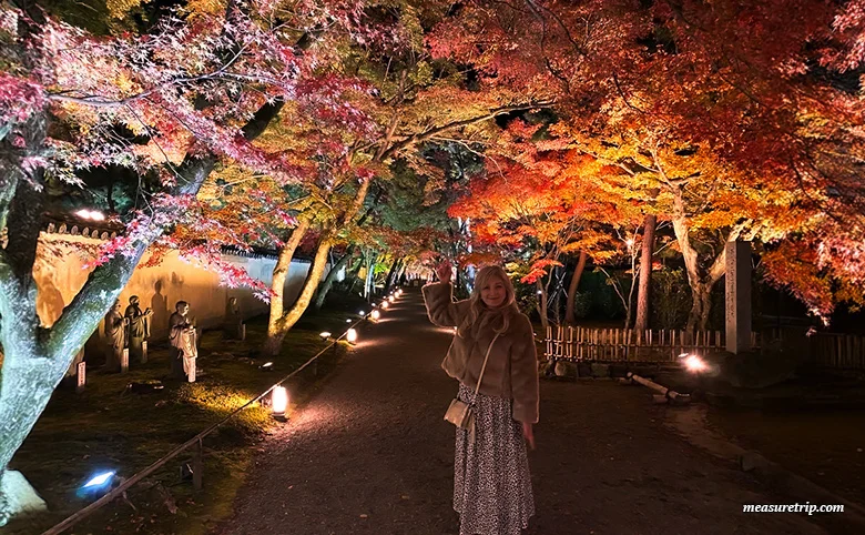 宝厳院 秋の特別拝観「紅葉 ライトアップ」ガイド[京都観光]